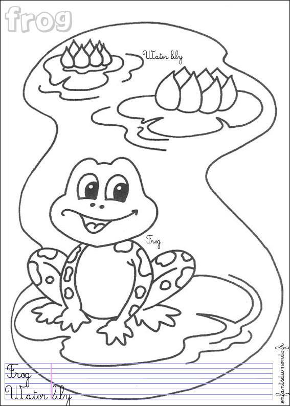 coloriage grenouille 1